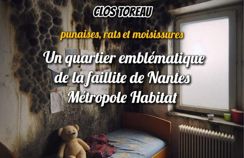 Clos Toreau : punaises, moisissures, mépris — le quotidien des locataires de NMH