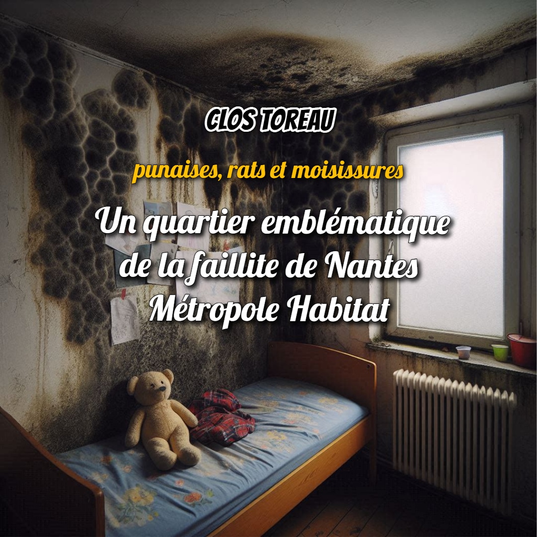 Clos Toreau : punaises, moisissures, mépris — le quotidien des locataires de NMH